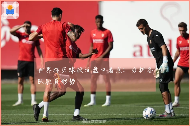 世界杯买球投注盘口看点：分析各队胜负形势