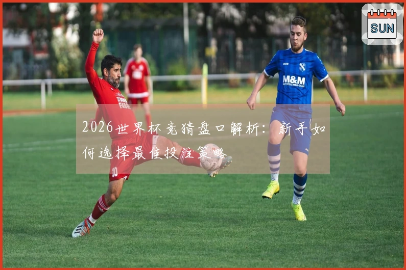 2026世界杯竞猜盘口解析：新手如何选择最佳投注策略