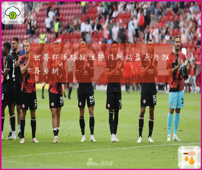 世界杯滚球投注热门网站盘点与推荐分析