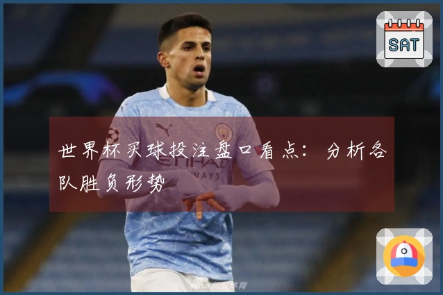 世界杯买球投注盘口看点:分析各队胜负形势