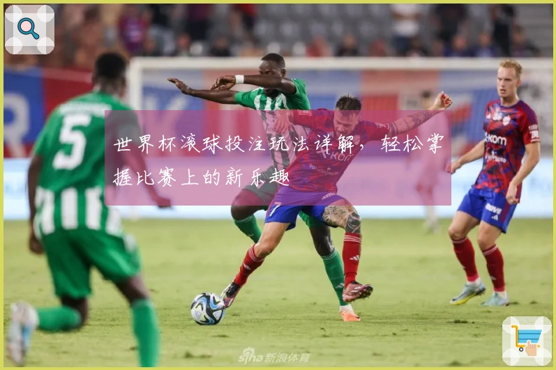 世界杯滚球投注玩法详解,轻松掌握比赛上的新乐趣