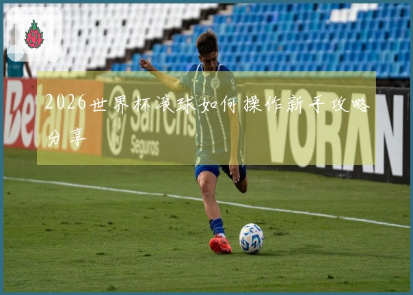 2026世界杯滚球如何操作新手攻略分享
