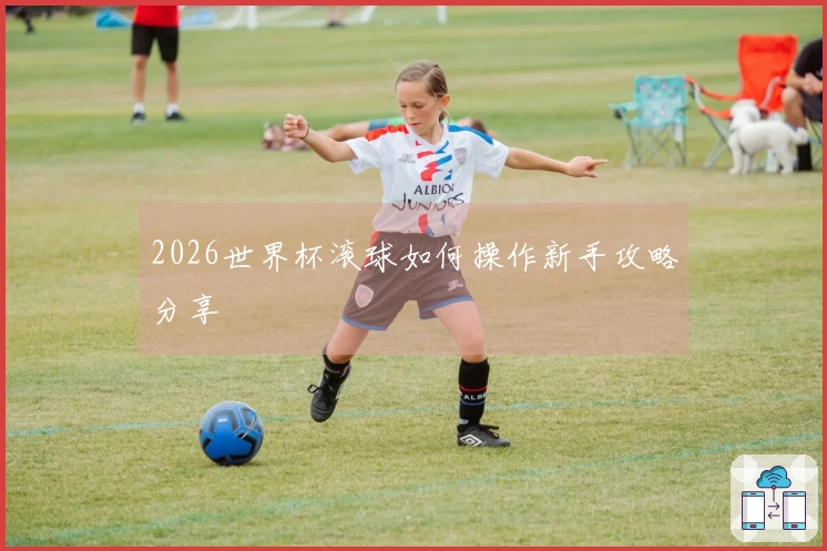 2026世界杯滚球如何操作新手攻略分享