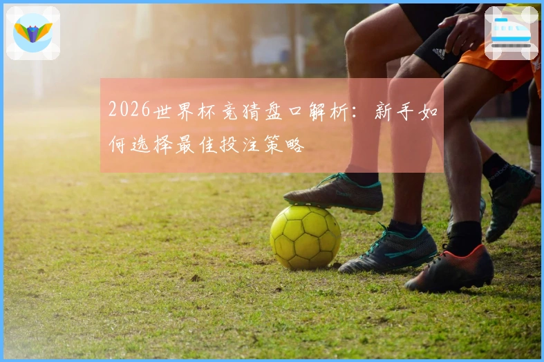 2026世界杯竞猜盘口解析:新手如何选择最佳投注策略