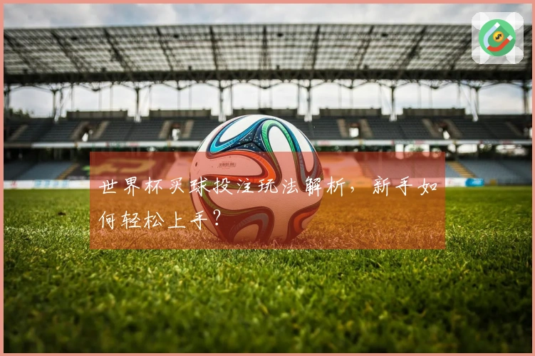 世界杯买球投注玩法解析，新手如何轻松上手？